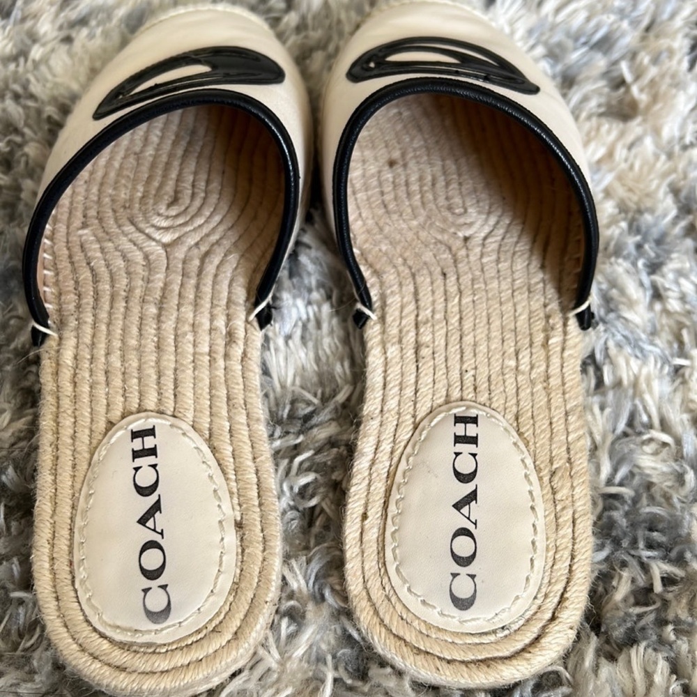 Coach slides - Picture 2 of 4